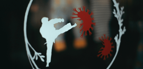 Stilisierter Mann kämpft Kung-Fu gegen Coronaviren